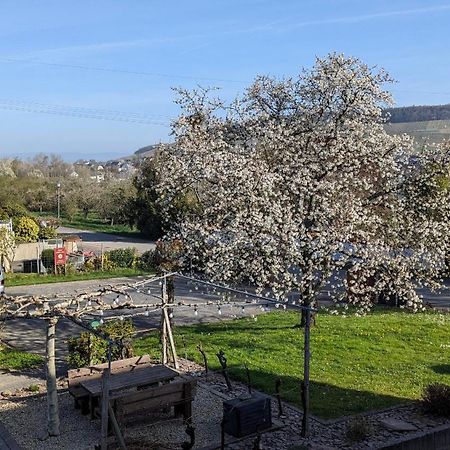 Weingut Harald Ludwig Appartement Osann-Monzel Buitenkant foto