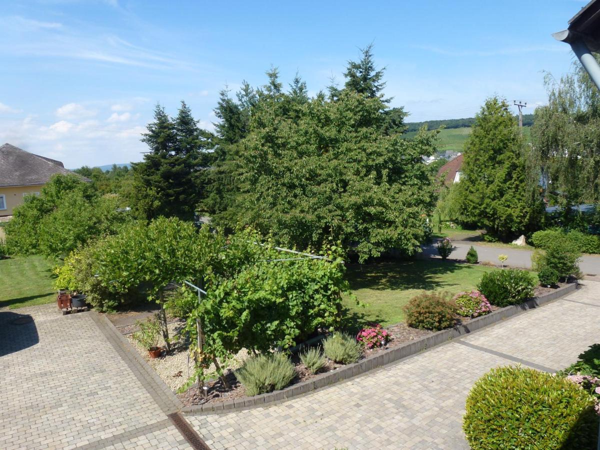 Weingut Harald Ludwig Appartement Osann-Monzel Buitenkant foto