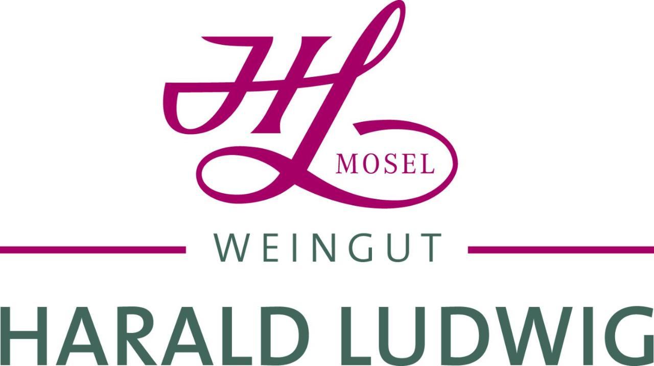 Weingut Harald Ludwig Appartement Osann-Monzel Buitenkant foto