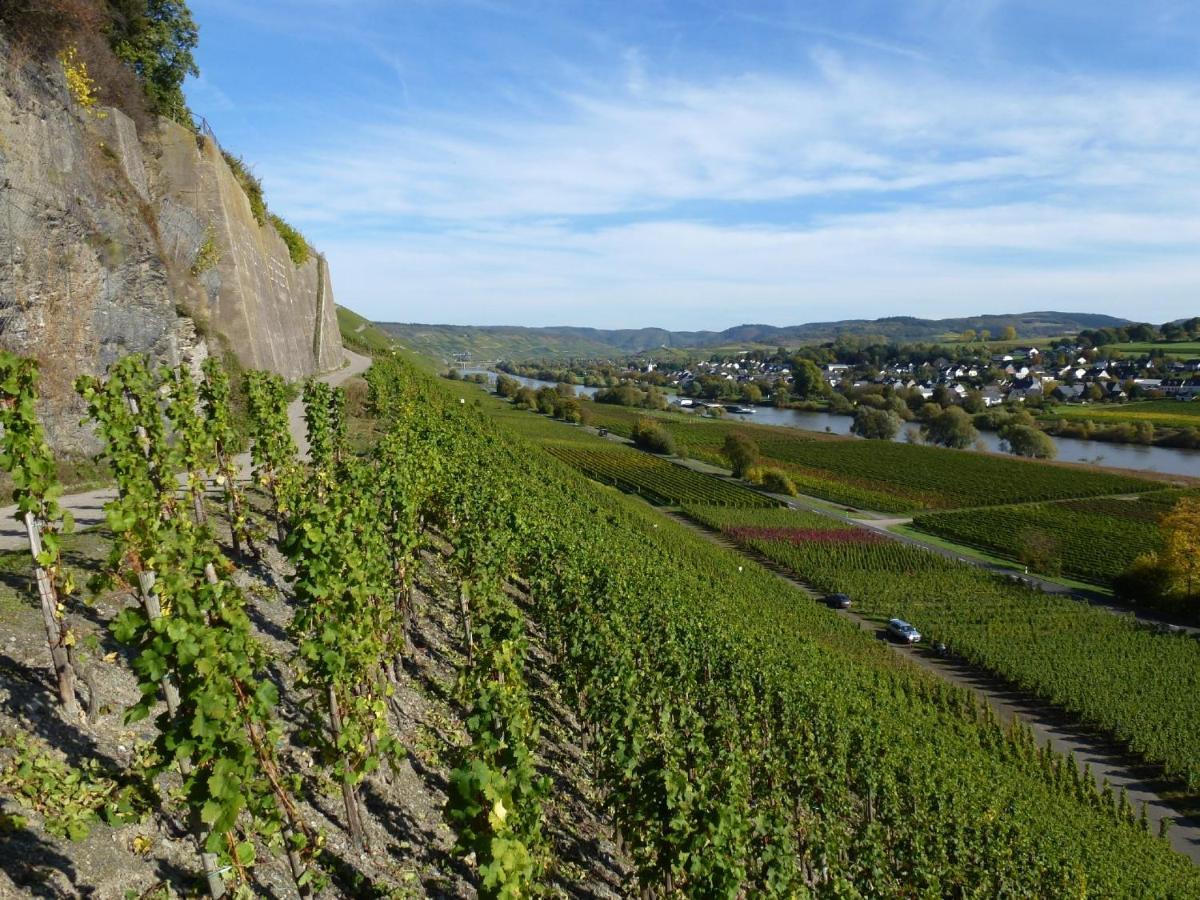 Weingut Harald Ludwig Appartement Osann-Monzel Buitenkant foto
