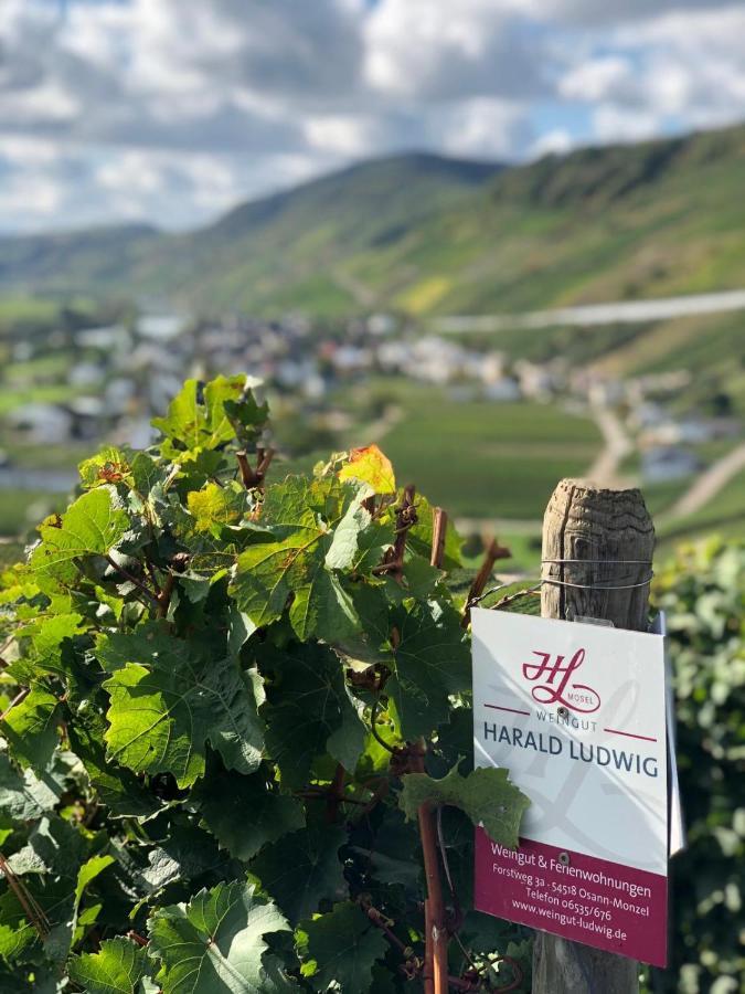 Weingut Harald Ludwig Appartement Osann-Monzel Buitenkant foto