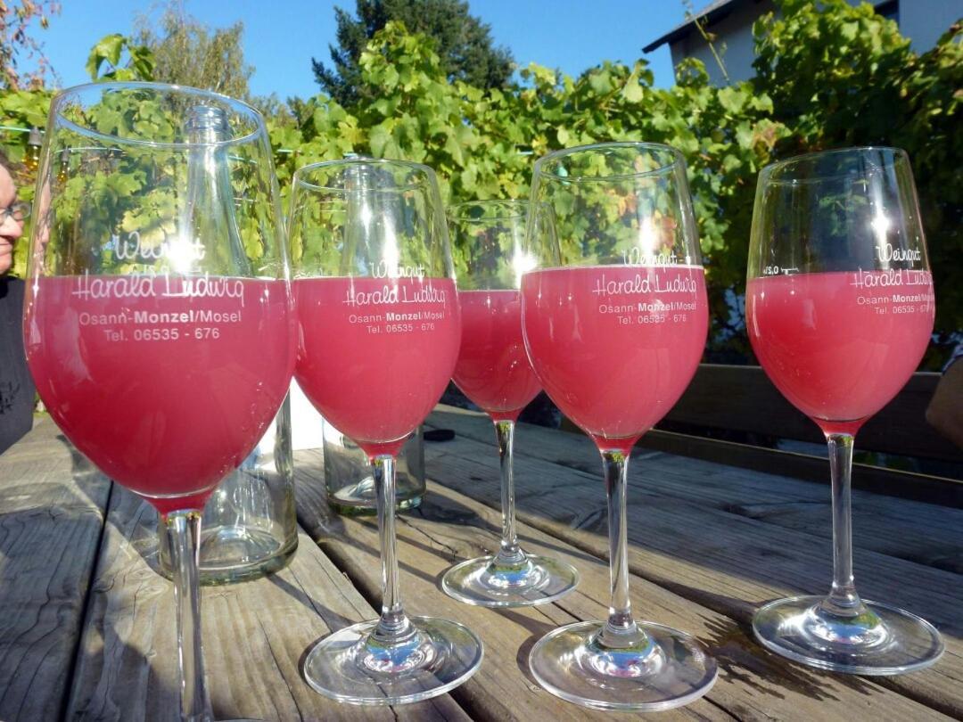 Weingut Harald Ludwig Appartement Osann-Monzel Buitenkant foto
