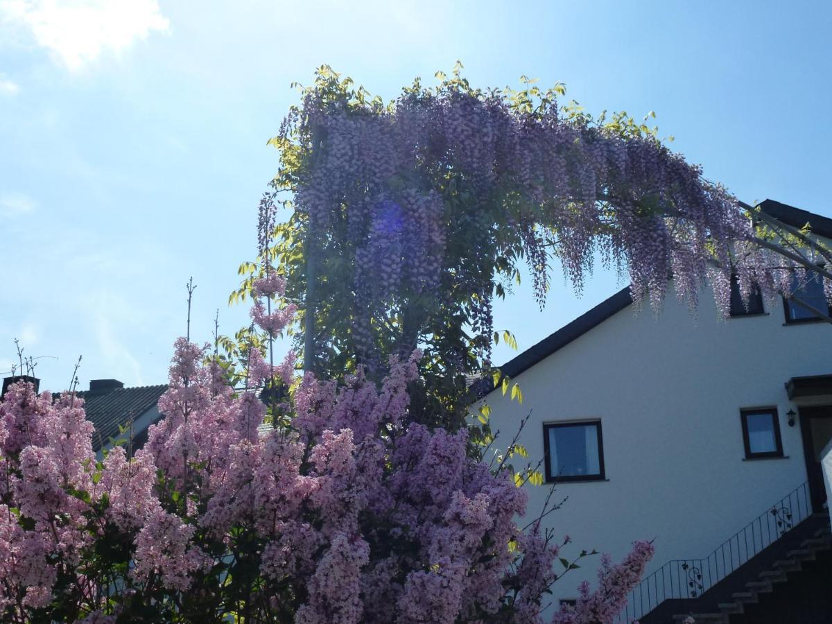 Weingut Harald Ludwig Appartement Osann-Monzel Buitenkant foto