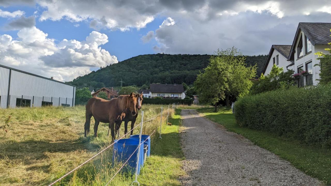 Weingut Harald Ludwig Appartement Osann-Monzel Buitenkant foto