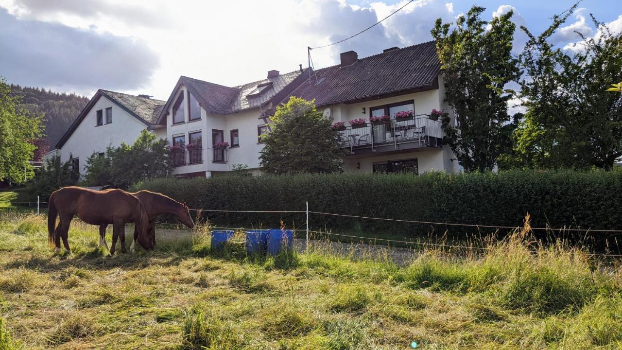 Weingut Harald Ludwig Appartement Osann-Monzel Buitenkant foto